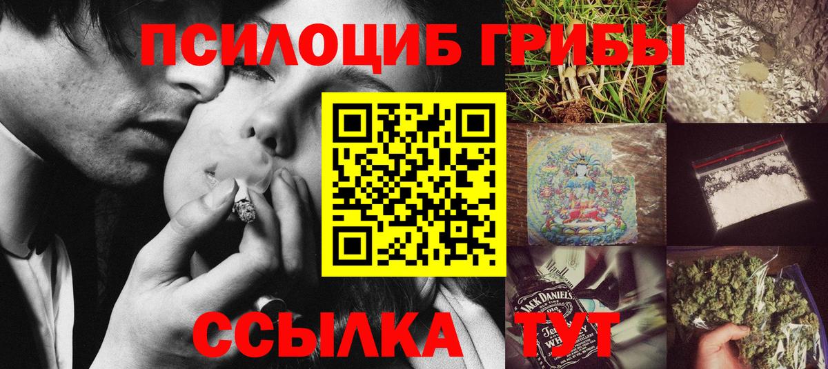 Псилоцибиновые грибы Magic Shrooms  Вход с VPN  Элиста 